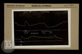 Reprodução de gráfico. Ficha da Seção de fotografia nº 1371. Ficha sem preenchimento, frente