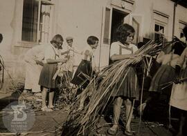 Escolha de tábua para esteiras