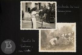 Alunos e alunas em atividade de plantio. Aluno cuidando de sua laranjeira e plantio de pinheiro (...