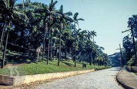 Rua da entrada principal, dentro do Instituto Butantan, a partir do Portão da Avenida Vital Brazil