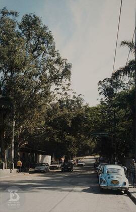 Avenida Vital Brazil, entrada principal do Instituto Butantan