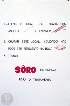 Álbum Seriado-nº1, 1º grau, tema:" Produção de Soros anti-peçonhentos". Página com pass...