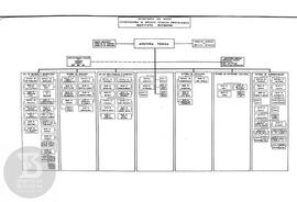 Organograma "Secretaria de Saúde- Coordenadoria dos Serviços Técnicos Especializados -  Inst...