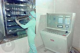 Interior de laboratório, colocando o BCG líquido em ampolas no liofilizador