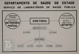 Organograma - Serviço de  Laboratórios de Saúde Pública, de autoria de L. Godoy