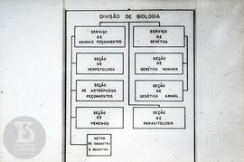 Organograma "Divisão de Biologia"