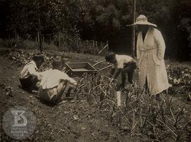 Pequenas atividades rurais na foto está a Profa. Noêmia Saraiva de Mattos Cruz