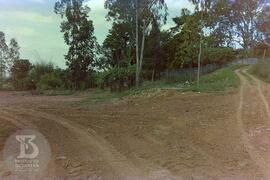 Construção do Parque de Saúde Pública do Instituto Butantan. Obras de arruamento e represamento.
