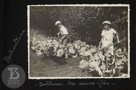 Aunos e alunas em atividade de Horticultura. Imagem inferior: Seção masculina