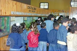 Estudantes do Colégio Docas observando parte da expografia Crotalinae e África, do Museu Biológico