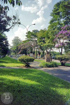 Alameda principal do Parque Instituto Butantan, ao fundo estão placa em alto-relevo de Vital Braz...