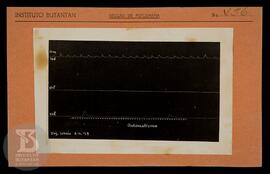 reprodução de gráfico. Ficha da Seção de fotografia nº 456, solicitado pela Seção de Fisiologia (...
