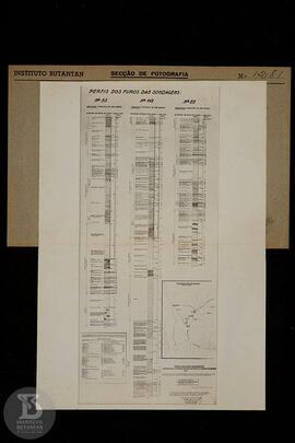 reprodução de gráfico sobre poços artezianos, "perfis dos furos das sondagens". Ficha d...