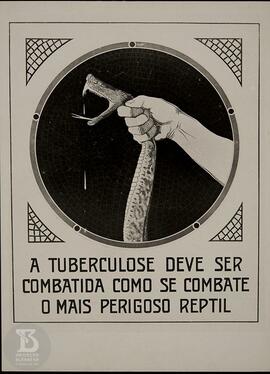 Material didático. Cartaz "A tuberculose deve ser combatida como se o mais perigoso réptil&q...