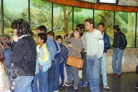 Estudantes do Colégio Docas observando expografia de serpentes do Museu Biológico