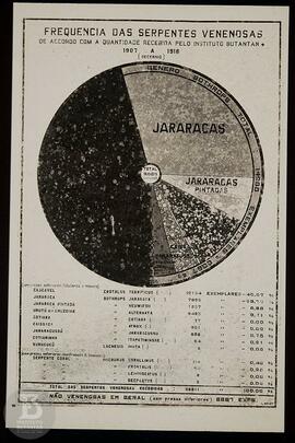 Gráfico "Frequência das serpentes venenosas (1907-1916)". Reprodução da Ficha da Seção ...