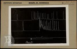 Reprodução de gráfico. Ficha da Seção de fotografia nº 1070, solicitado pela Seção  de Fisiologia...