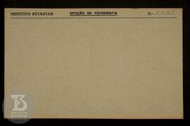 Ficha da Seção de fotografia nº 1358, solicitado pela Seção de Química (dr. Taborda), reprodução ...