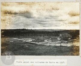 Instituto Butantan 3. Vista geral das culturas do Horto em 1918