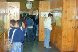 Estudantes do Colégio Docas observando expografia do Museu Biológico