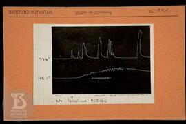 Reprodução de gráfico. Ficha da Seção de fotografia nº 341, solicitado pela Seção de Fisiologia (...