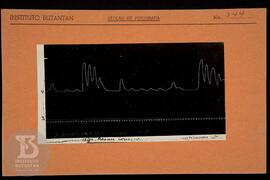 Reprodução de gráfico. Ficha da Seção de fotografia nº 344, solicitado pela Seção de Fisiologia (...