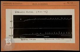 Reprodução de gráfico "Vesículas Ratos (15/07/1938)". Ficha da Seção de fotografia nº 4...