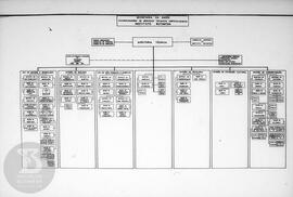 Organograma "Secretaria de Saúde- Coordenadoria dos Serviços Técnicos Especializados -  Inst...