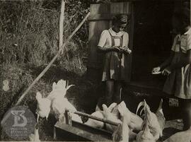 Alunas do Grupo Escolar Butantan [alimentando aves]