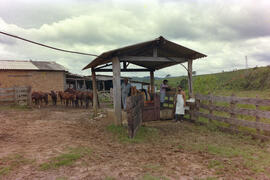 Fazenda São Joaquim, local de realização do exame de palpação transretal