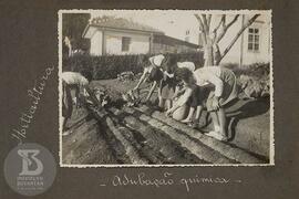 Alunos e alunas em atividade de Horticultura: adubação química