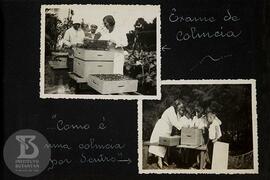 Alunos em atividade de Apicultura: exame de colmeia, "Como é uma colmeia por dentro"