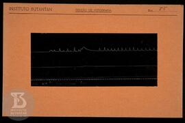 Reprodução de gráfico. Ficha da Seção de fotografia nº 85, solicitado pela Seção de Fisiologia (D...