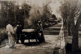 Serviço de pavimentação do Instituto Butantan em 1948