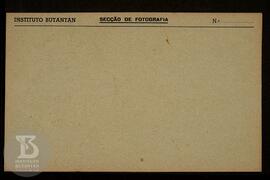 Ficha da Seção de fotografia s.n. Solicitado pela Seção de Endocrinologia (dr. Lobo), Anat. Patol...