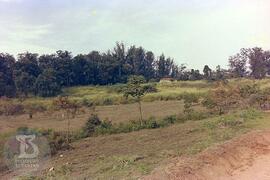 Construção do Parque de Saúde Pública do Instituto Butantan. [Vista de vegetação próxima à área d...