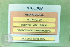 Detalhe de quadro de distribuição de setores  da Seção de  patologia