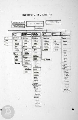 Organograma "Instituto Butantan - Diretoria Técnica"