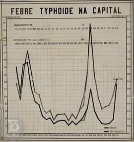 Gráfico: "Febre Typhoide na capital".  Ficha da Seção da fotografia nº 594, solicitação...