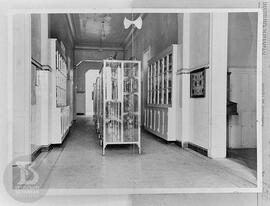Museu Biológico localizado no Pavilhão Lemos Monteiro