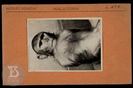 Detalhe de macaco. Ficha da Seção de fotografia nº 292, solicitado pela Seção de Fisiologia (dr. ...