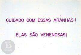 Material didático sobre aranhas. Reprodução de  texto com alerta para cuidado com aranhas