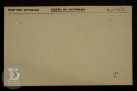 Ficha da Seção de fotografia nº 1314, solicitado pela Seção de Vacinogênico (dr. Cícero Neiva). F...