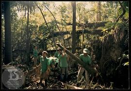 Horto Oswaldo Cruz. Funcionários trabalhando na recuperação ambiental.