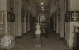 Museu Biológico localizado no Pavilhão Lemos Monteiro. Vista de corredor expositivo.