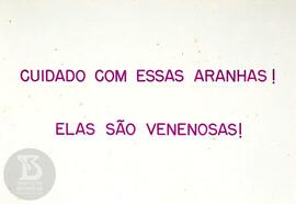 Material didático sobre aranhas. Reprodução de texto com alerta para cuidado com aranhas