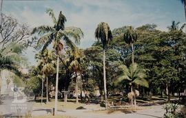 Vista geral da praça Louis Pasteur