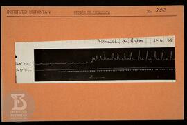 Reprodução de gráfico "vesícula de ratos". Ficha da Seção de fotografia nº 352, solicit...