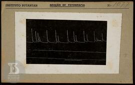 Reprodução de gráfico. Ficha da Seção de fotografia nº 1077, solicitado pela Seção  de Fisiologia...