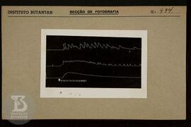 Reprodução de gráfico. Ficha da Seção de fotografia nº 994, solicitado pela Seção Fisiopatologia ...